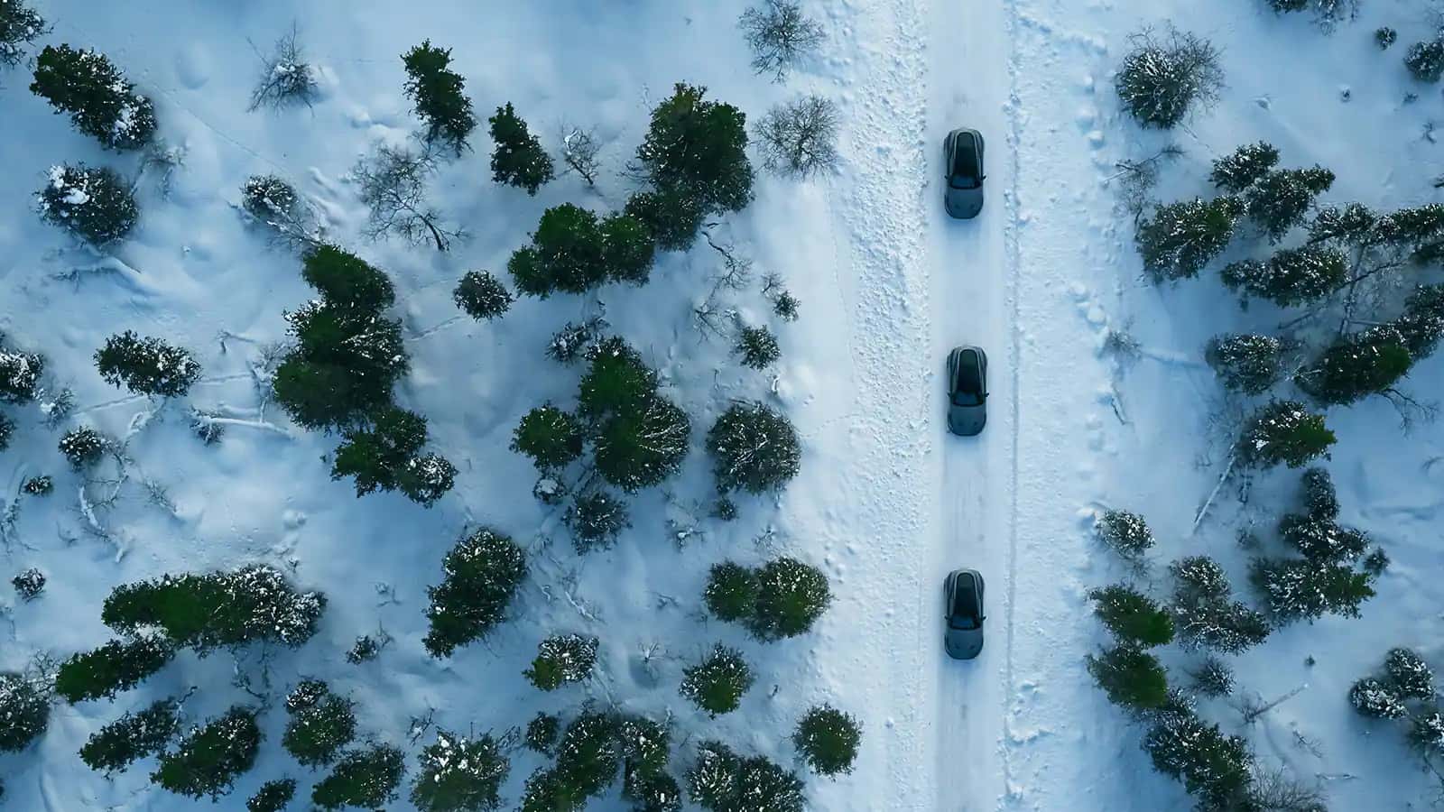 Aerial image of cars driving through snow in forest