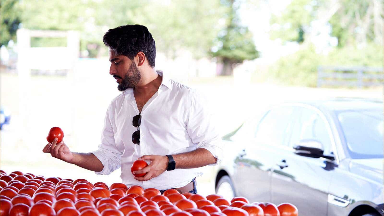 Sourcing fresh tomatoes